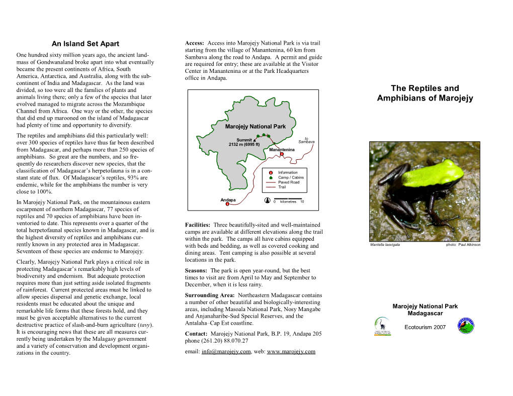 The Reptiles and Amphibians of Marojejy