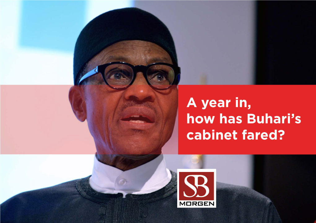 A Year In, How Has Buhari's Cabinet Fared?