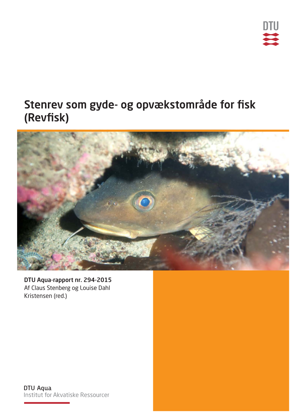 Stenrev Som Gyde- Og Opvækstområde for Fisk (Revfisk)