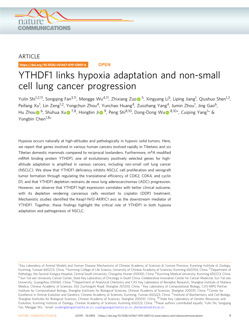 YTHDF1 Links Hypoxia Adaptation and Non-Small Cell Lung Cancer Progression