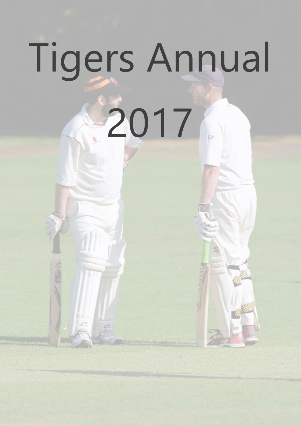 Tigers-Annual.Pdf