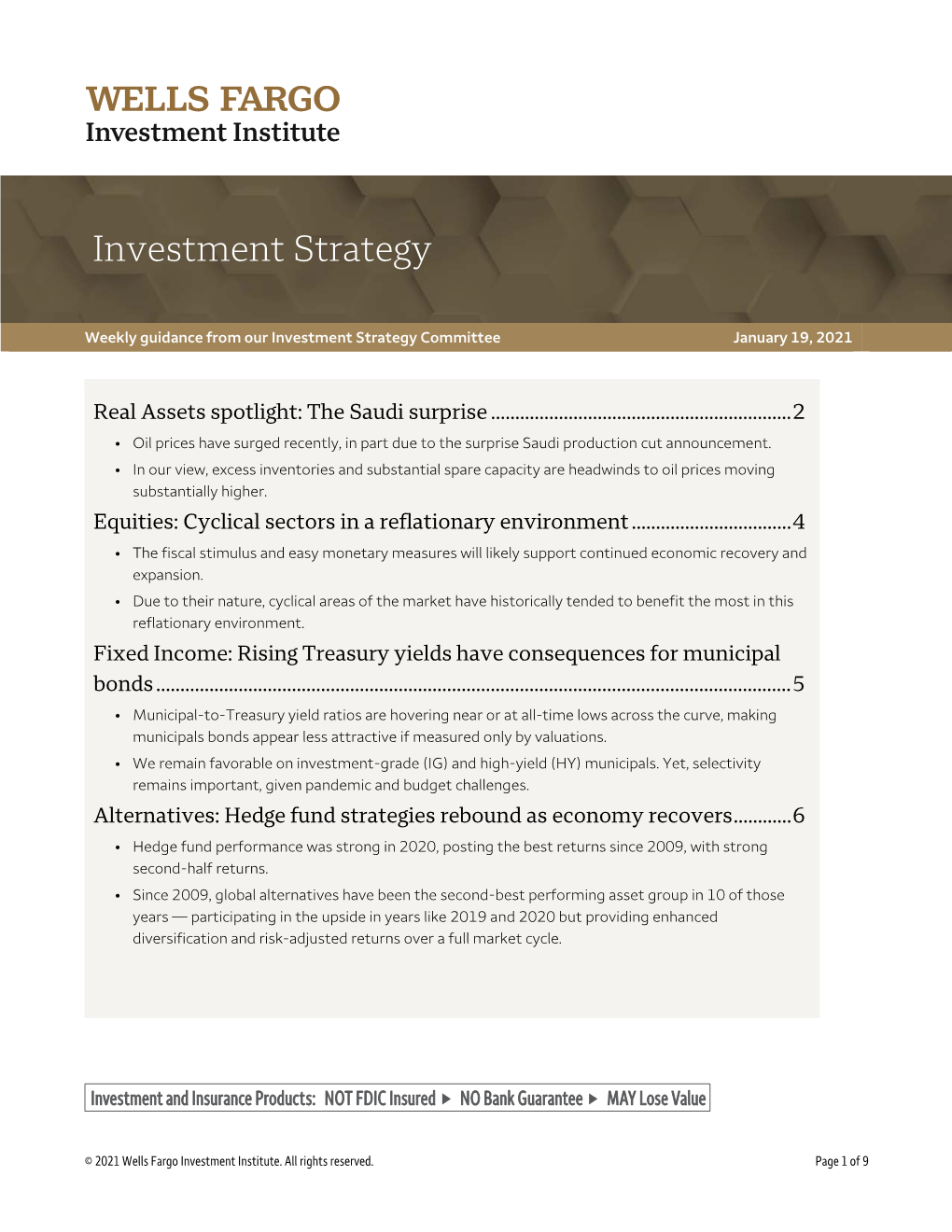 Investment Strategy Report