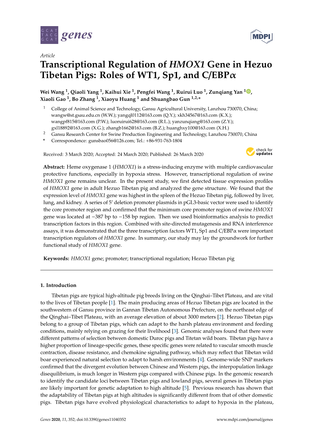 Transcriptional Regulation of HMOX1 Gene in Hezuo Tibetan Pigs: Roles of WT1, Sp1, and C/Ebpα