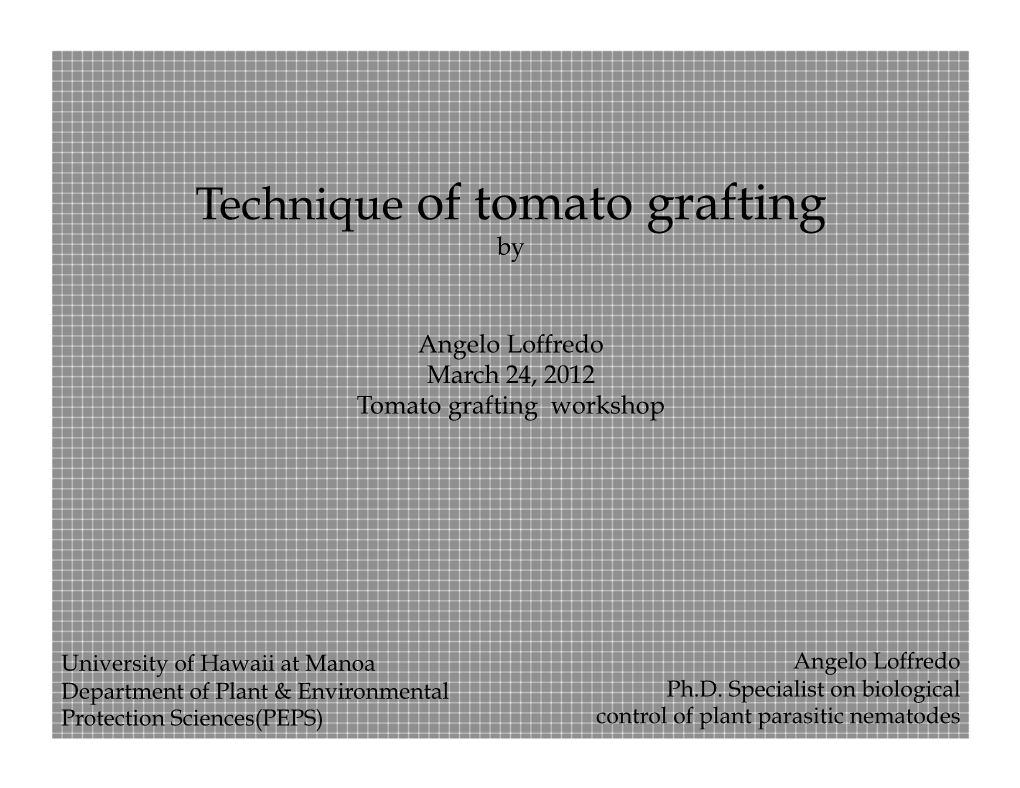 Technique of Tomato Grafting By