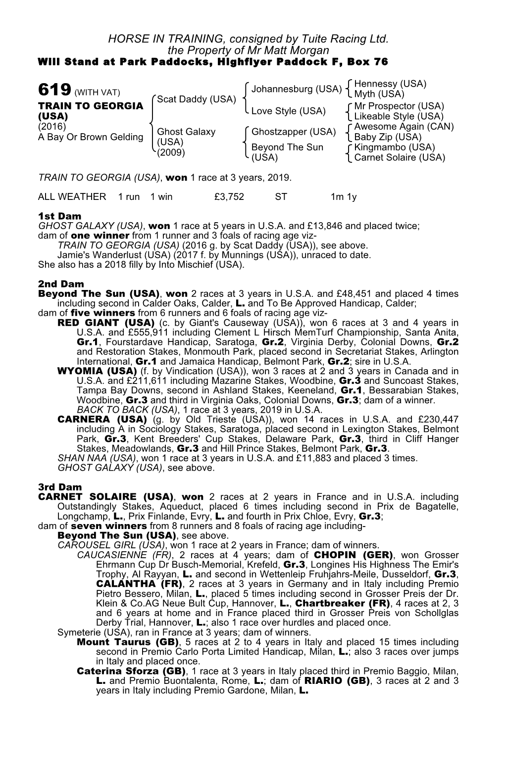 HORSE in TRAINING, Consigned by Tuite Racing Ltd. the Property of Mr Matt Morgan Will Stand at Park Paddocks, Highflyer Paddock F, Box 76
