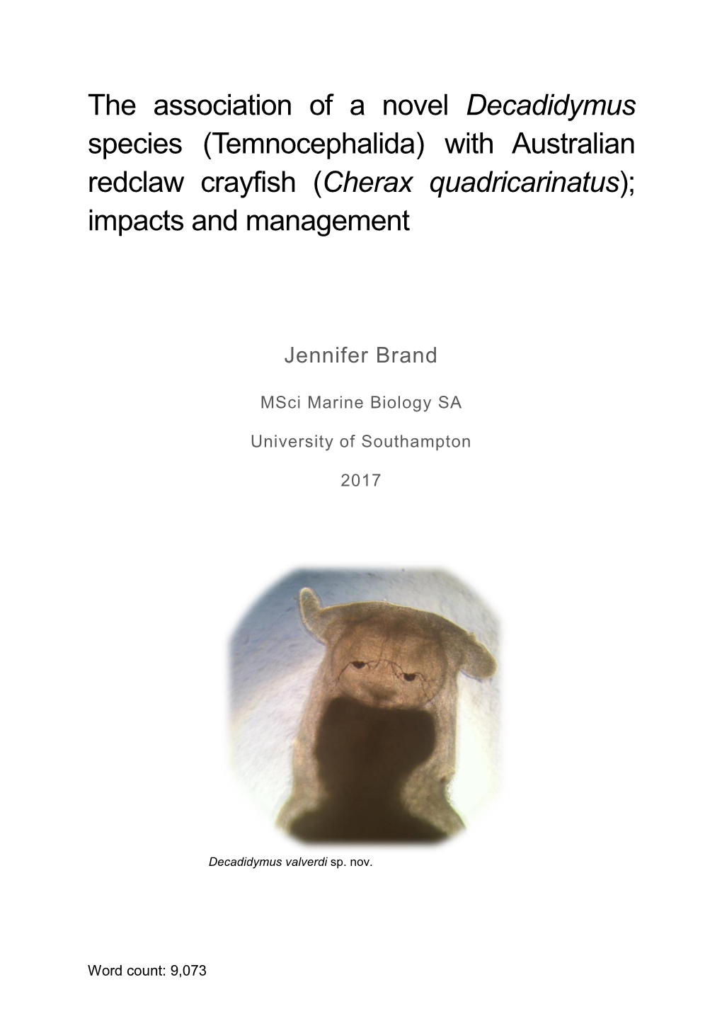 (Temnocephalida) with Australian Redclaw Crayfish (Cherax Quadricarinatus); Impacts and Management