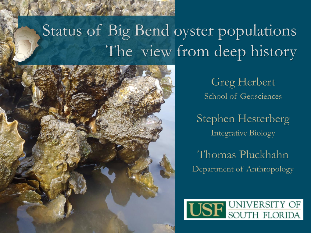 Status of Big Bend Oyster Populations the View from Deep History