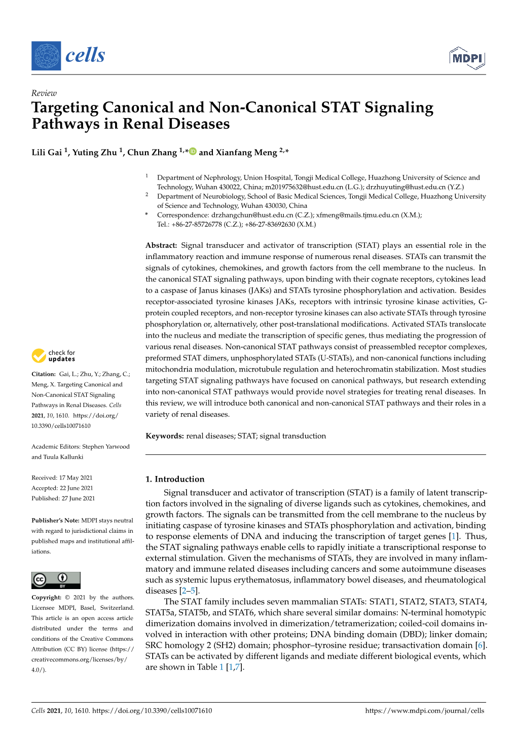 Targeting Canonical and Non-Canonical STAT Signaling Pathways in Renal Diseases