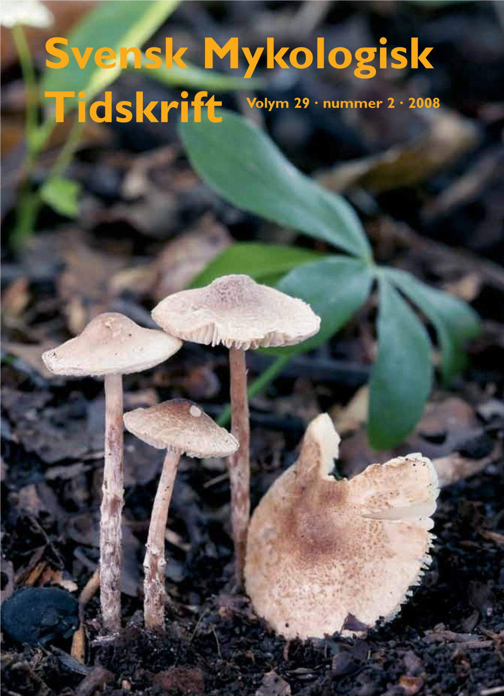 Svensk Mykologisk Tidskrift Volym 29 · Nummer 2 · 2008 Svensk Mykologisk Tidskrift Inkluderar Tidigare