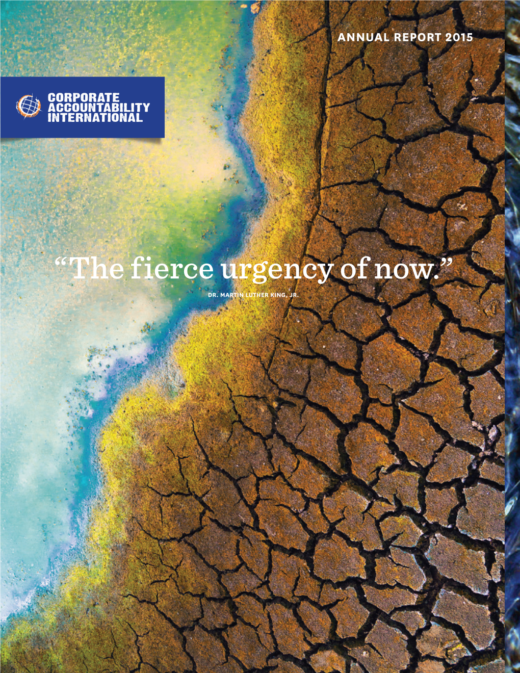“The Fierce Urgency of Now.” DR