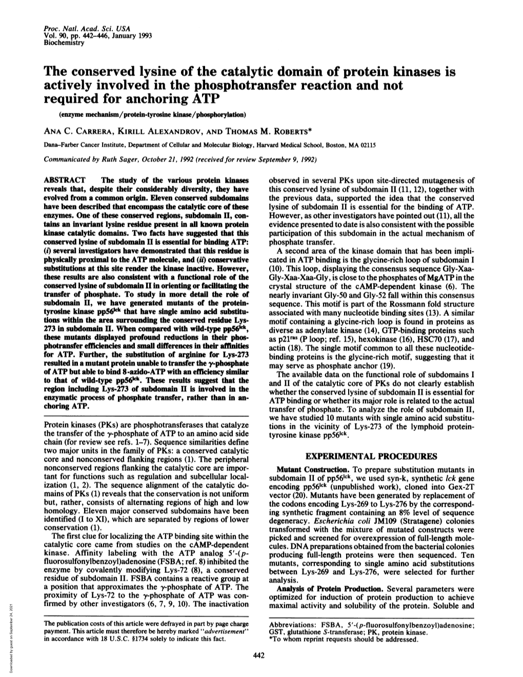 The Conserved Lysine of the Catalytic Domain of Protein Kinases Is