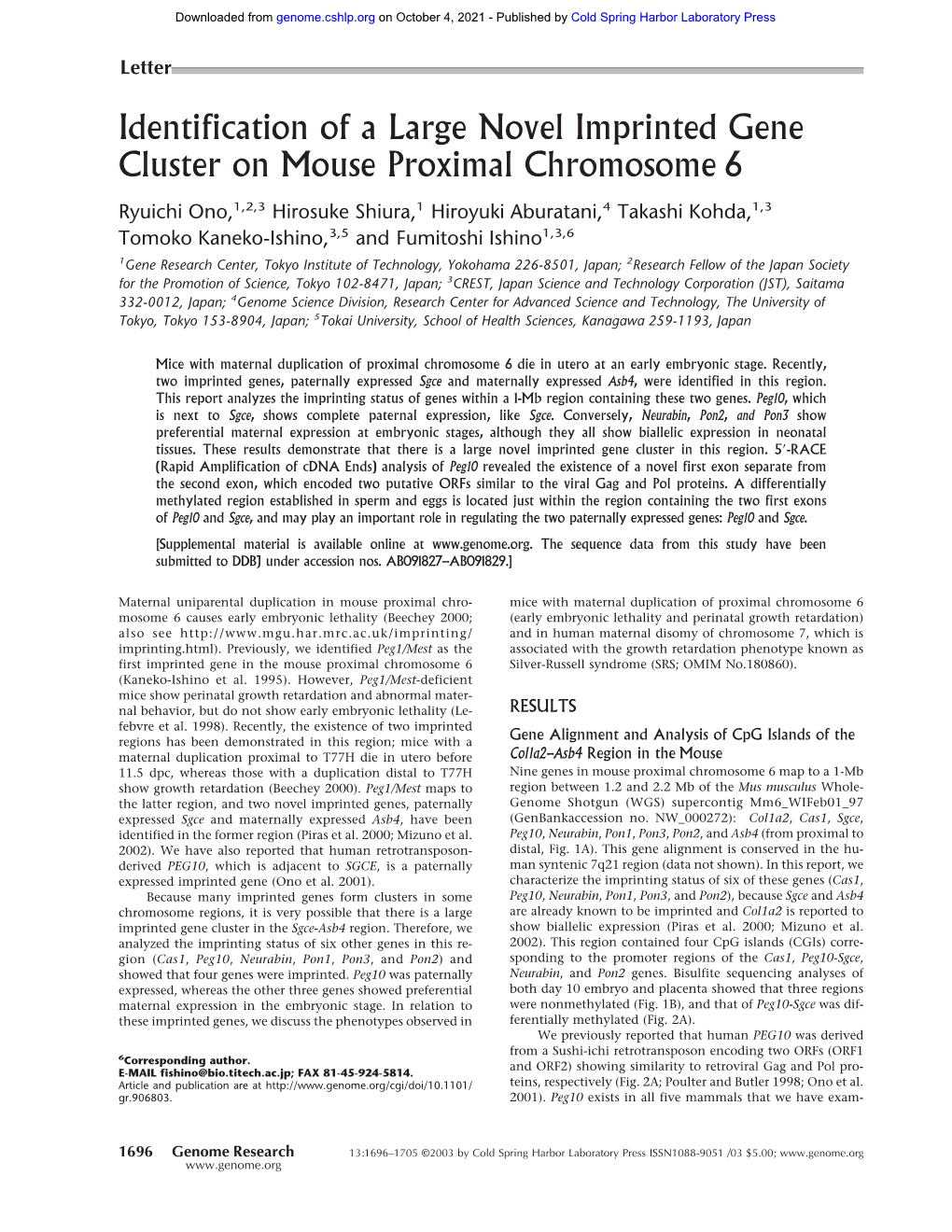 Identification of a Large Novel Imprinted Gene Cluster on Mouse