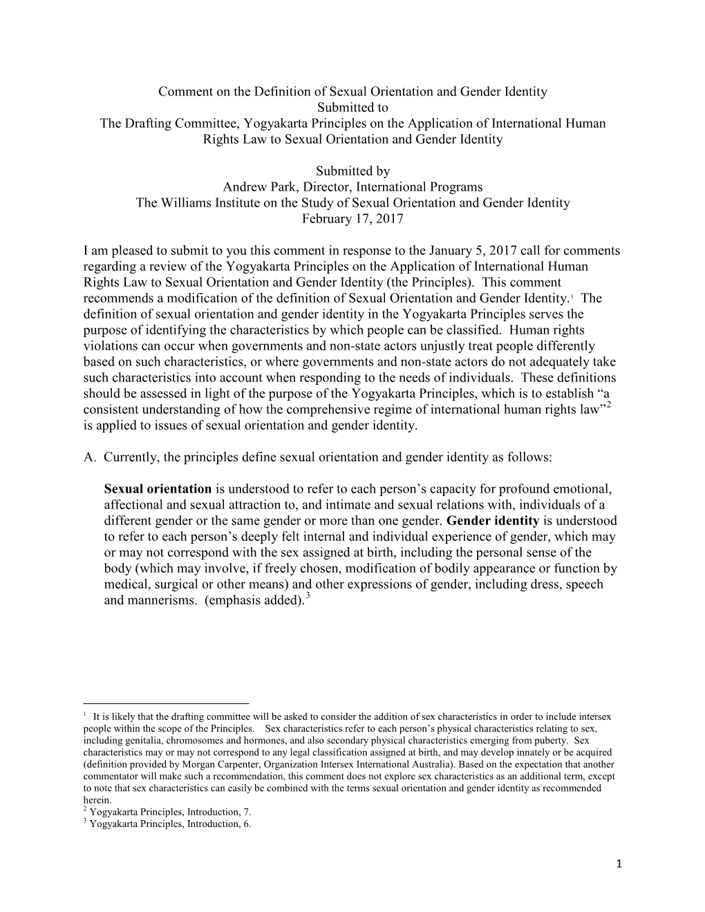 Comment on the Definition of Sexual Orientation and Gender Identity Submitted to the Drafting Committee, Yogyakarta Principles