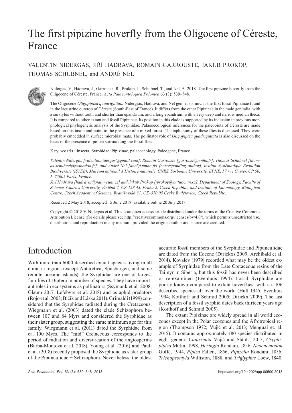 The First Pipizine Hoverfly from the Oligocene of Céreste, France