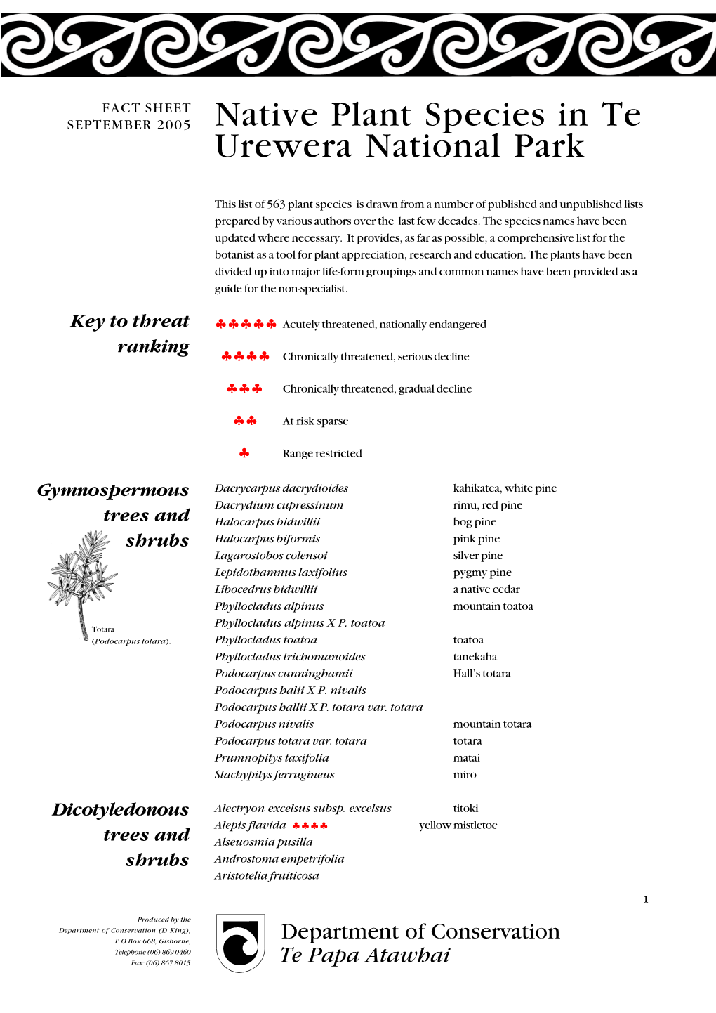 Native Plant Species in Te Urewera National Park