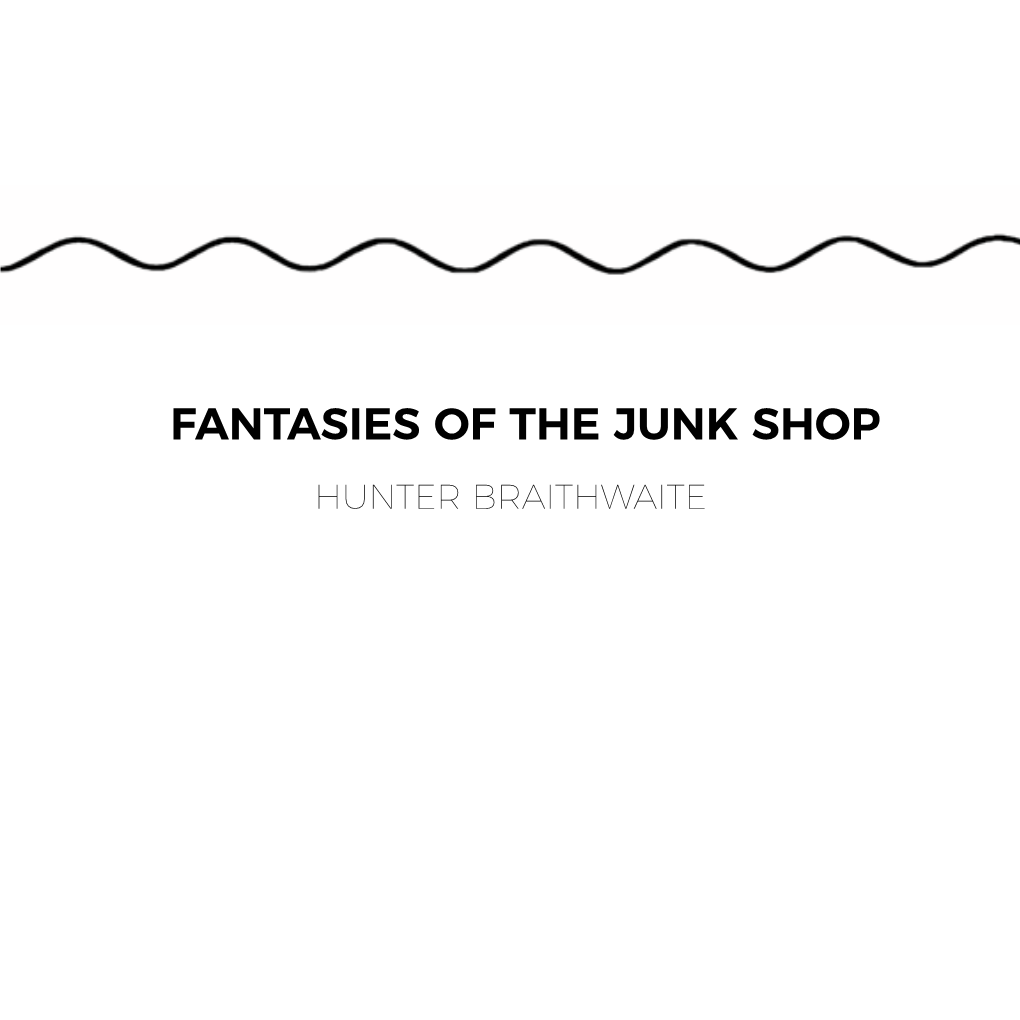 FANTASIES of the JUNK SHOP HUNTER BRAITHWAITE It’S Good for Art