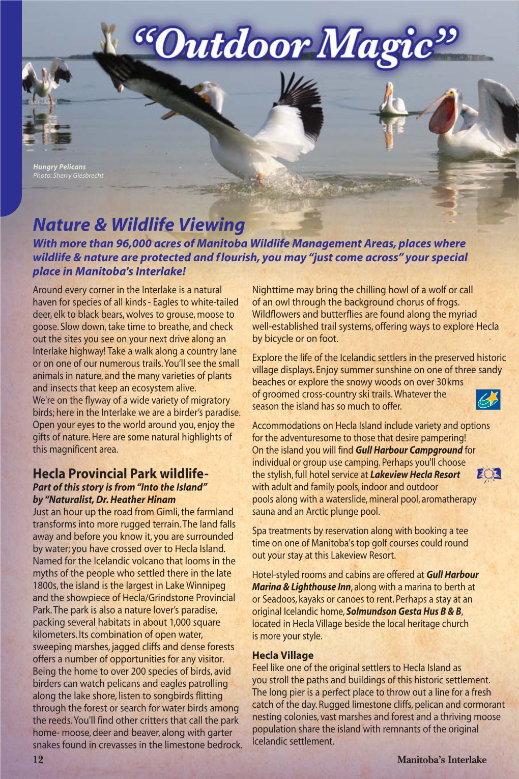 Nature & Wildlife Viewing