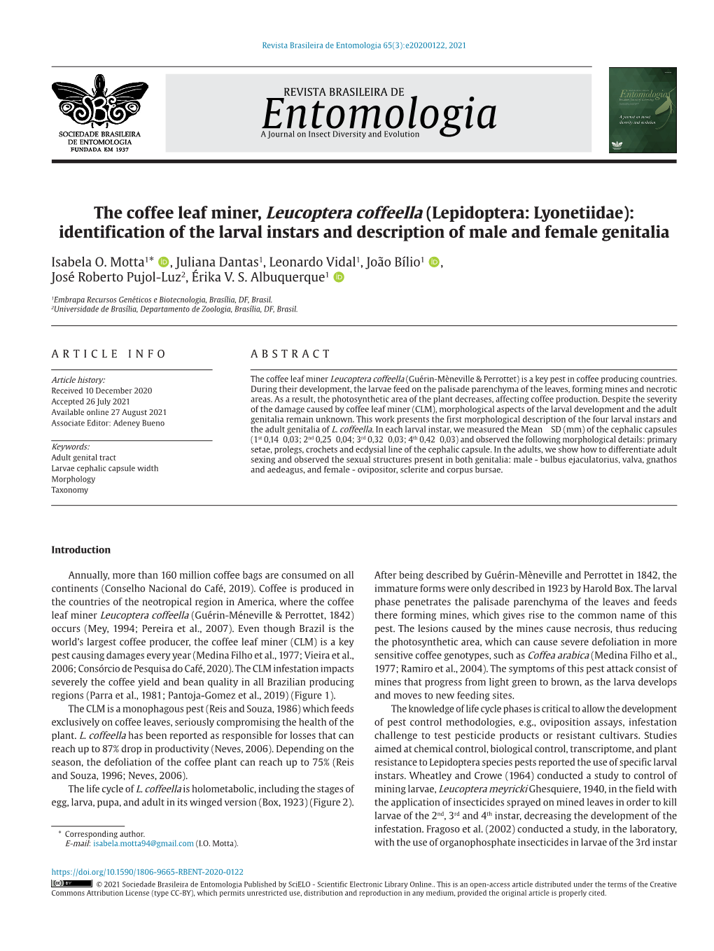 The Coffee Leaf Miner, Leucoptera Coffeella (Lepidoptera: Lyonetiidae): Identification of the Larval Instars and Description of Male and Female Genitalia