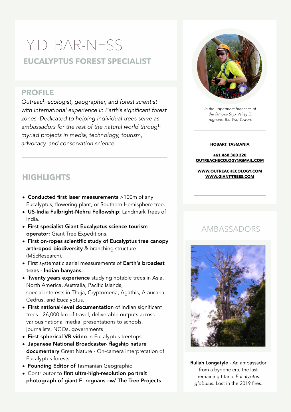 Eucalyptus Forest Specialist