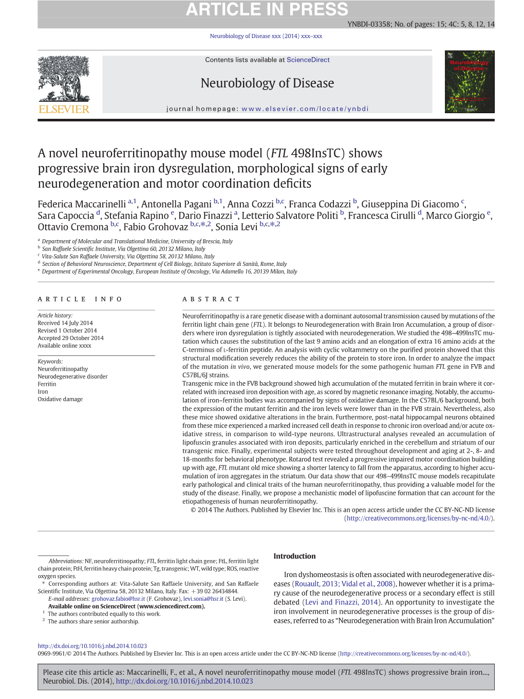 A Novel Neuroferritinopathy Mouse Model (FTL 498Instc)