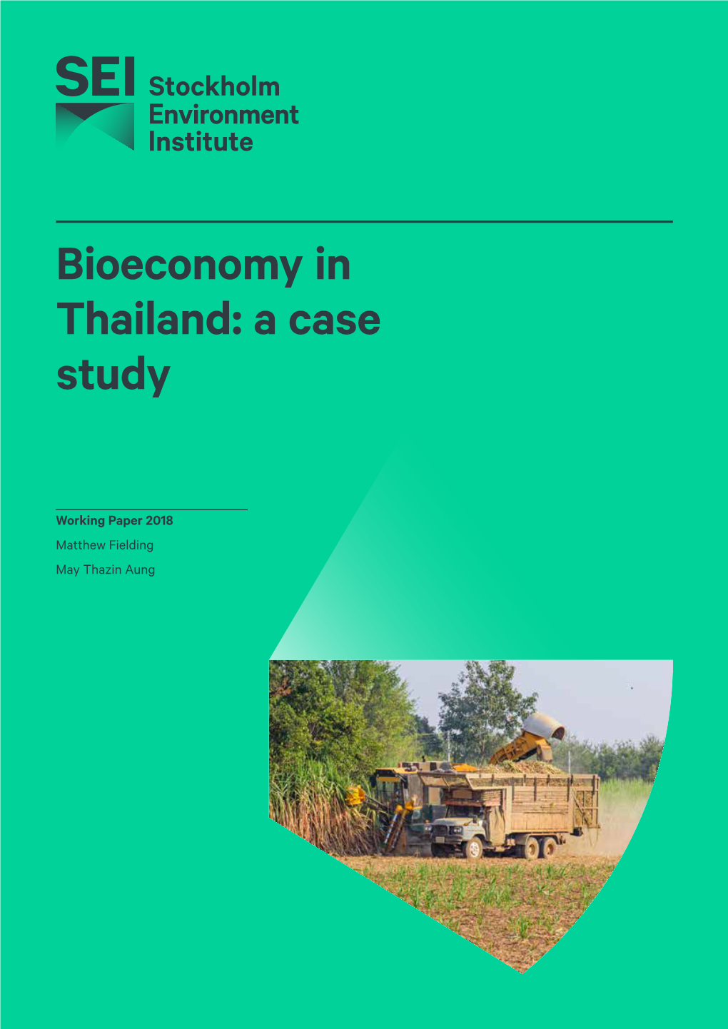 Bioeconomy in Thailand: a Case Study