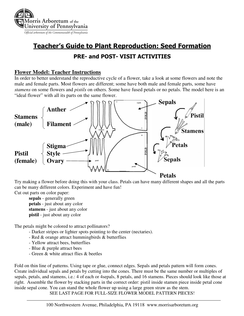 Teacher's Guide to Plant Reproduction: Seed Formation