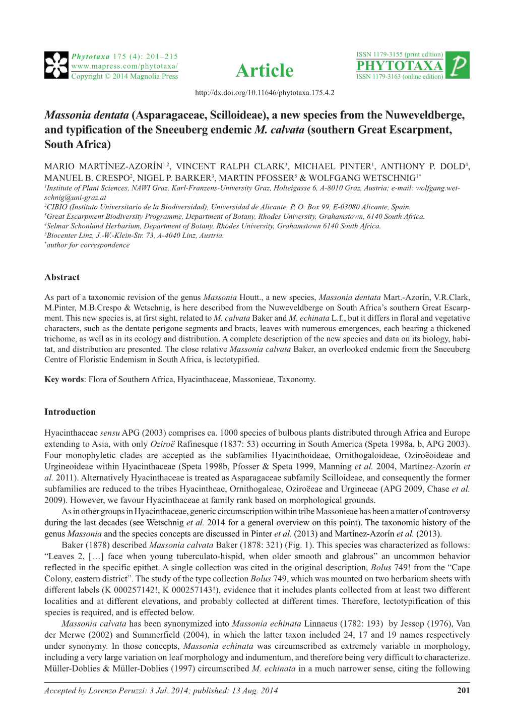 Massonia Dentata (Asparagaceae, Scilloideae), a New Species from the Nuweveldberge, and Typification of the Sneeuberg Endemic M