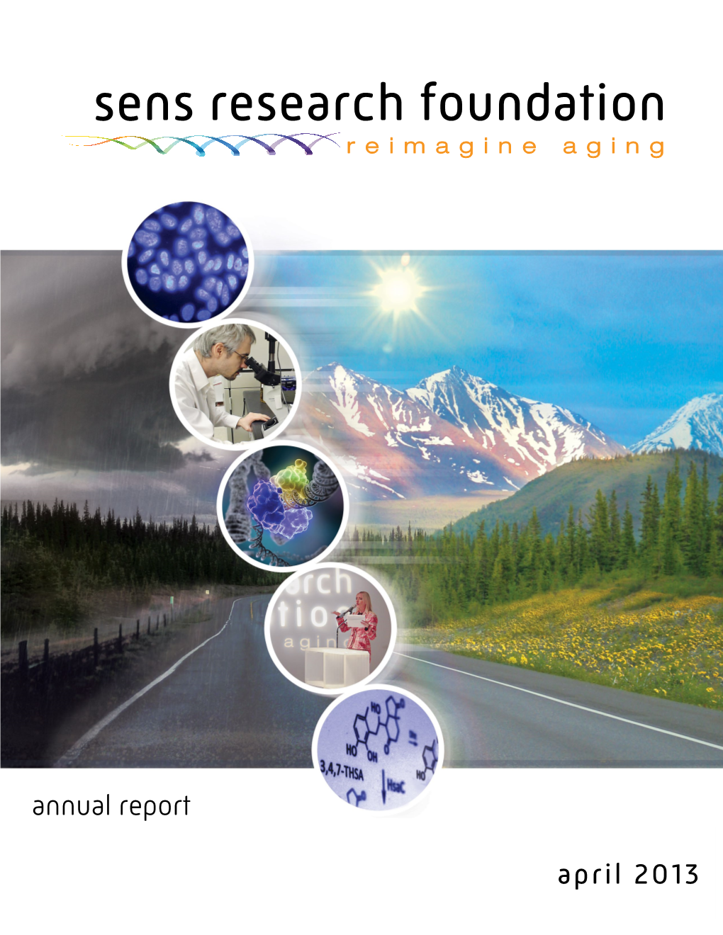 SENS Research Foundation Annual Report 2012