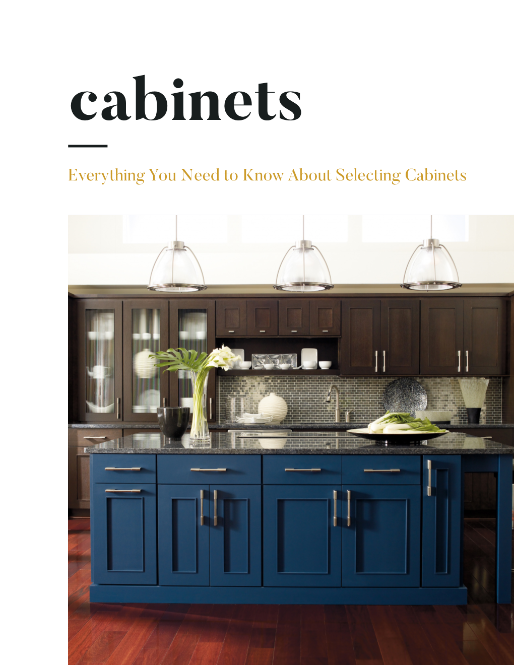 Everything You Need to Know About Selecting Cabinets EVERYTHING YOU NEED to KNOW ABOUT SELECTING CABINETS