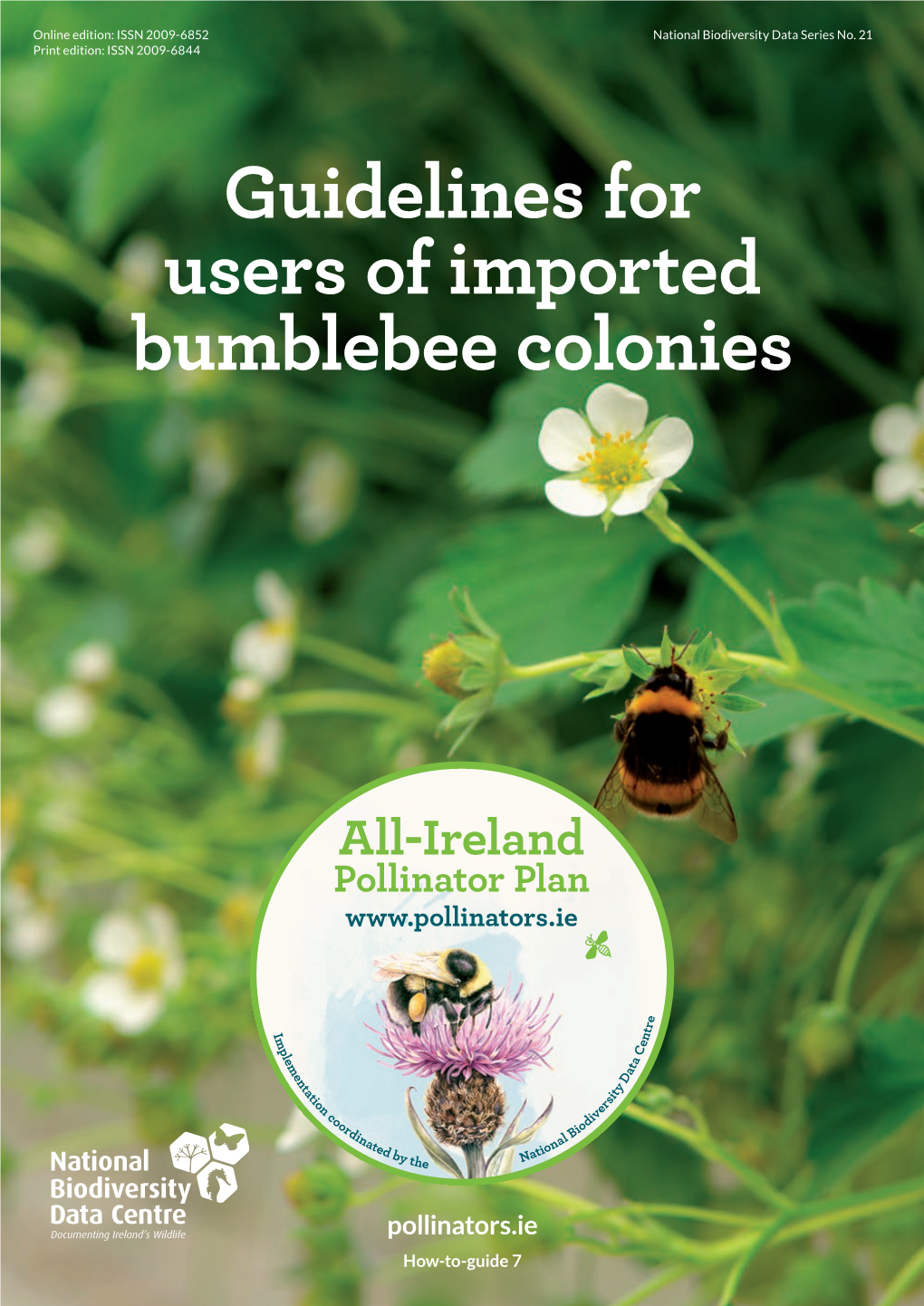 Imported Bumblebee Colonies