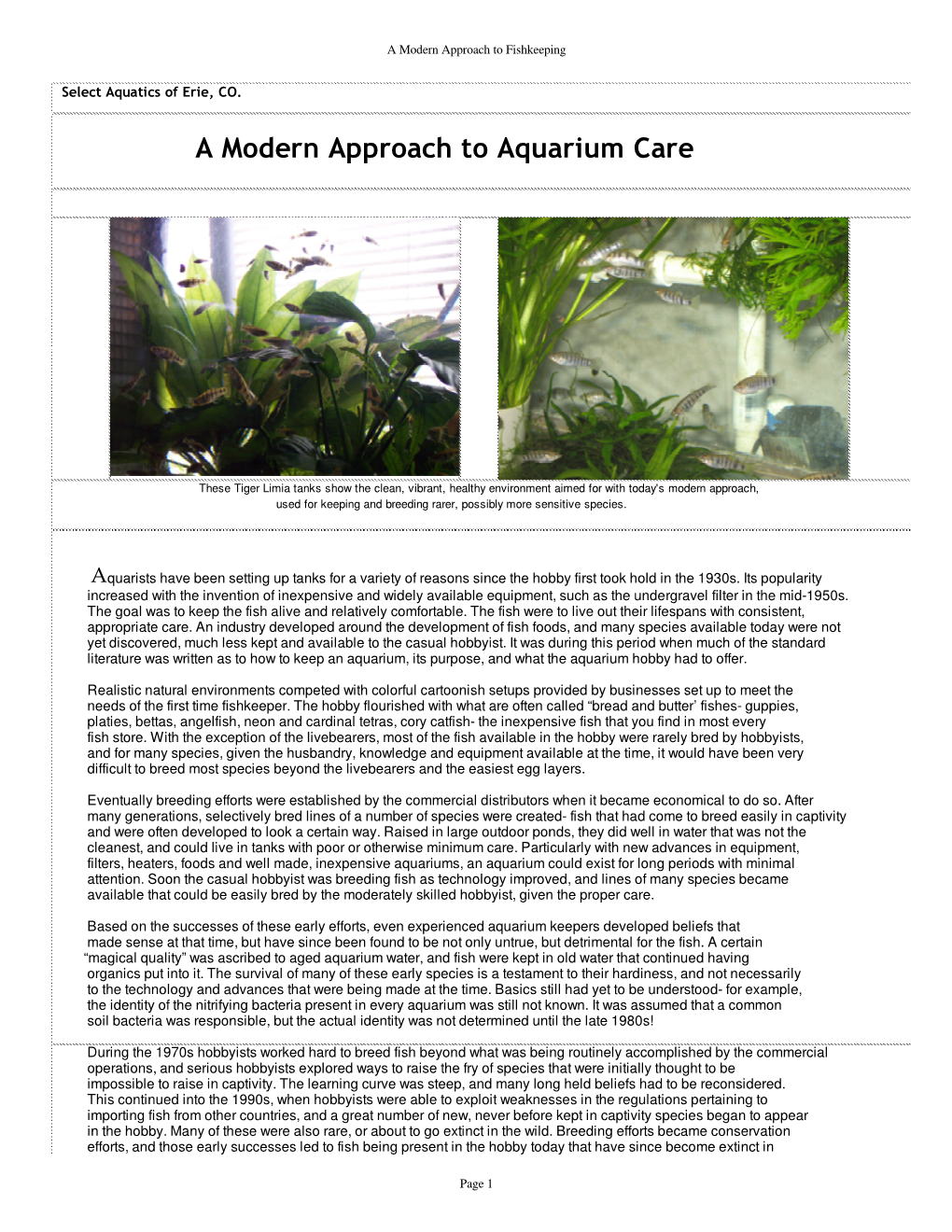 Aquarium Maintenance, a Modern Approach