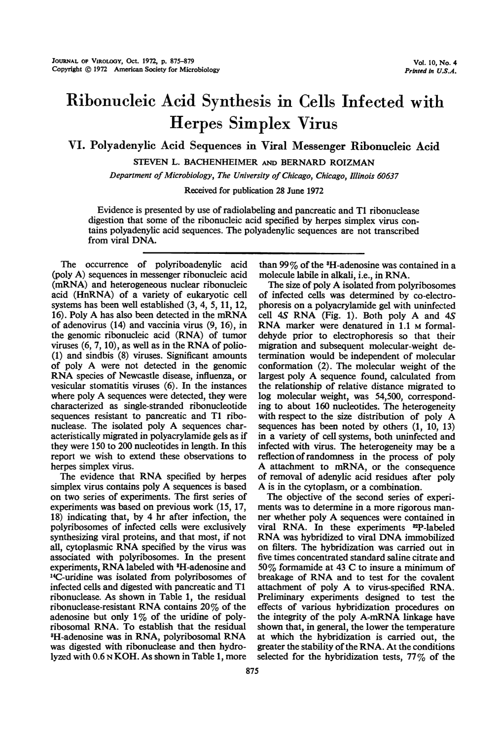 Herpes Simplex Virus VI