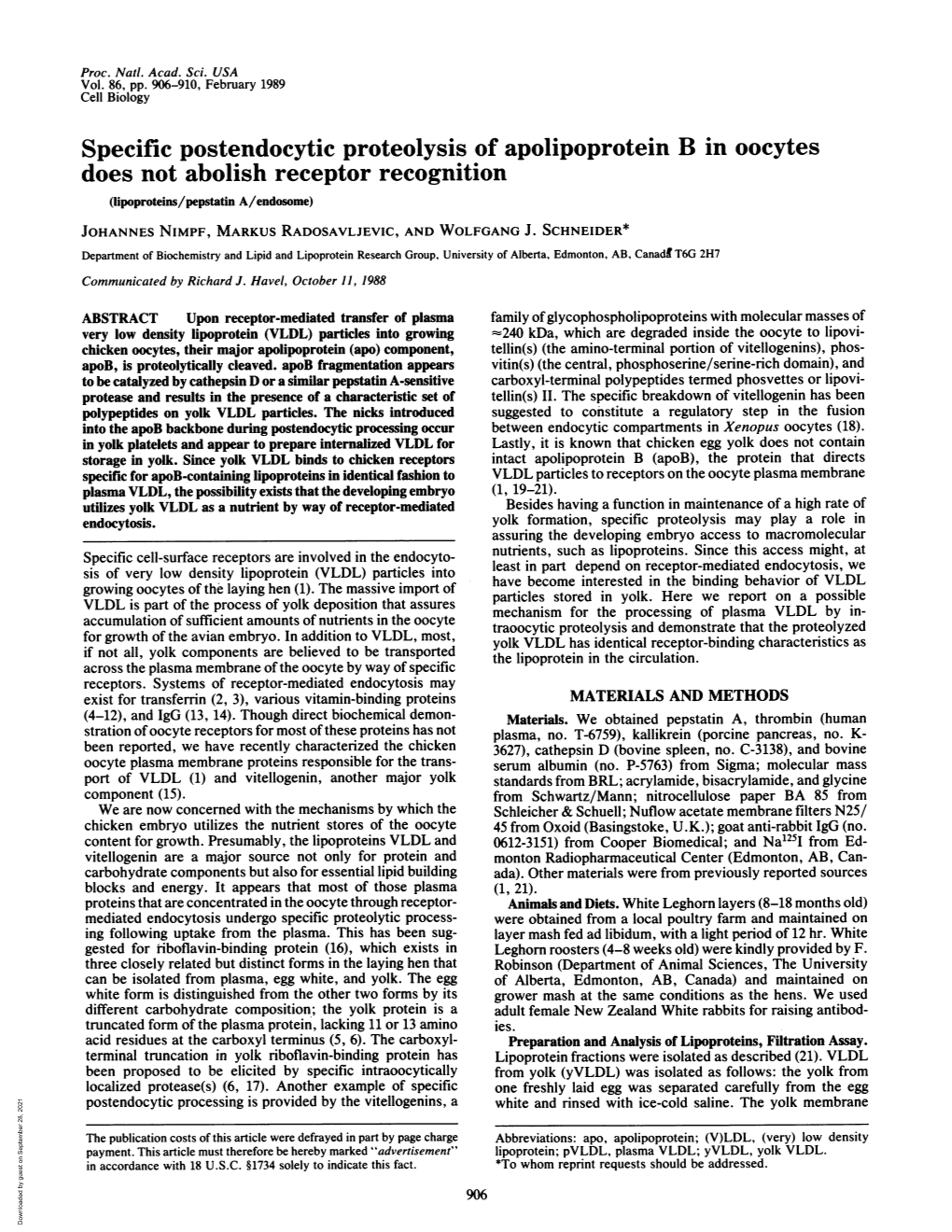 Specific Postendocytic Proteolysis of Apolipoprotein B in Oocytes