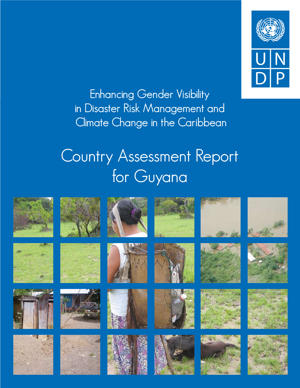 Country Assessment Report for Guyana Prepared for the UNDP by June Castello