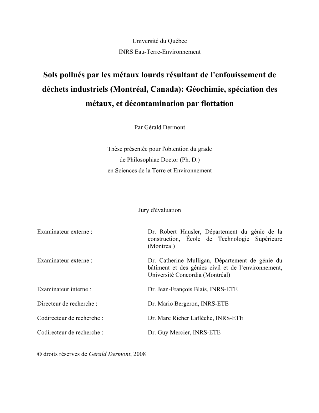 Sols Pollués Par Les Métaux Lourds Résultant De L