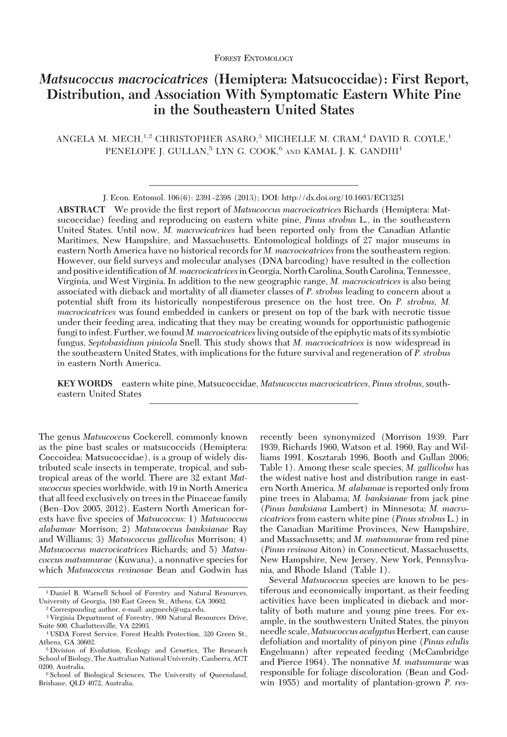 Matsucoccus Macrocicatrices