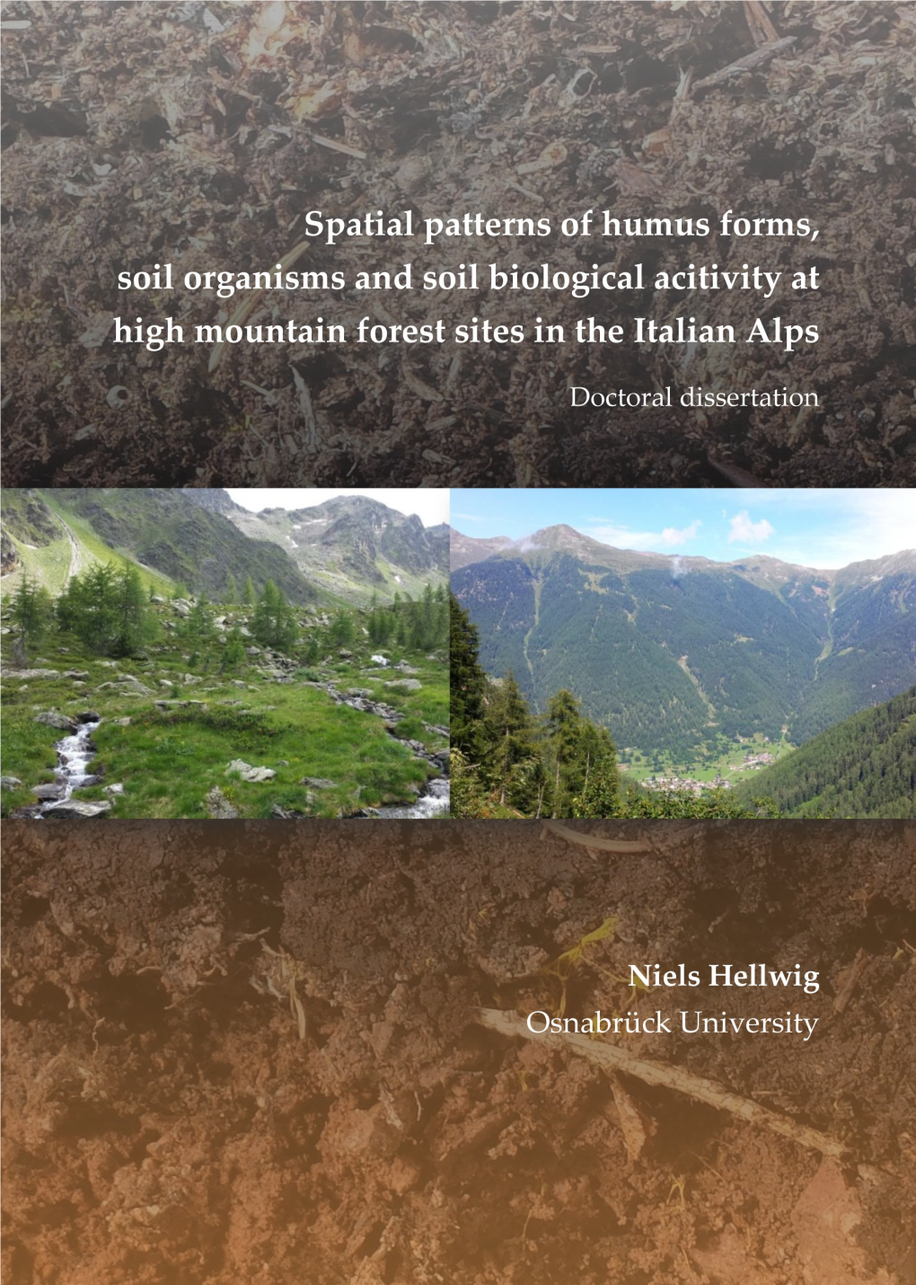 Spatial Patterns of Humus Forms, Soil Organisms and Soil Biological Activity at High Mountain Forest Sites in the Italian Alps
