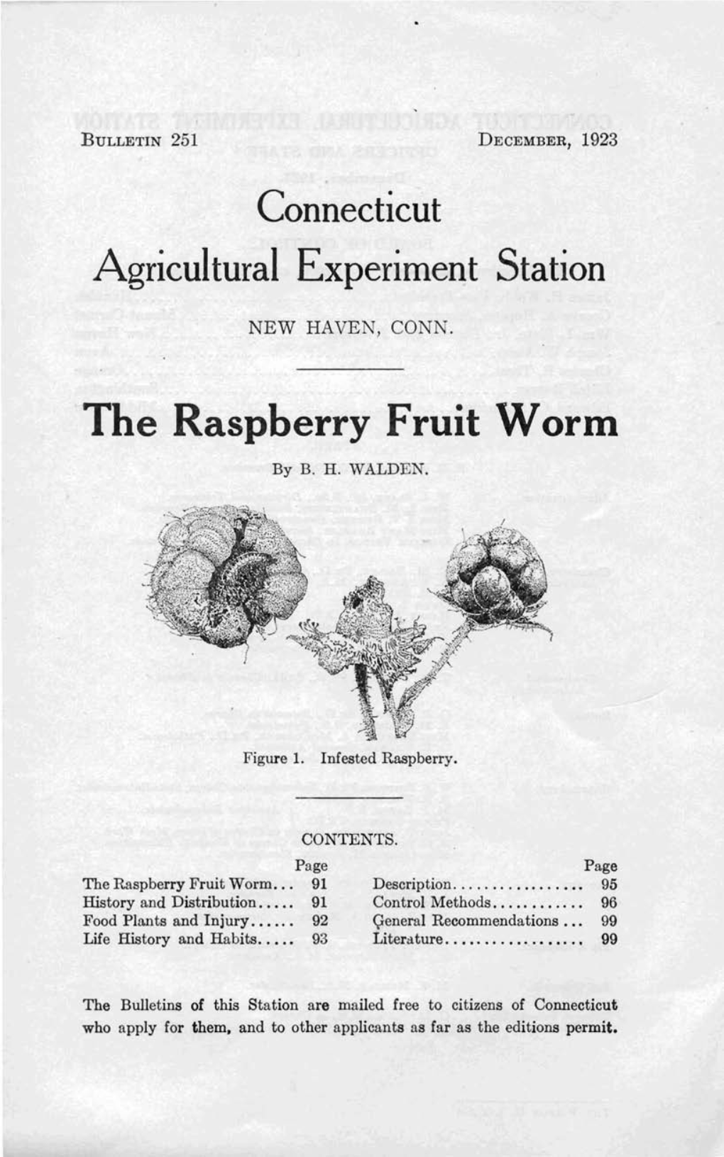 The Raspberry Fruit Worm