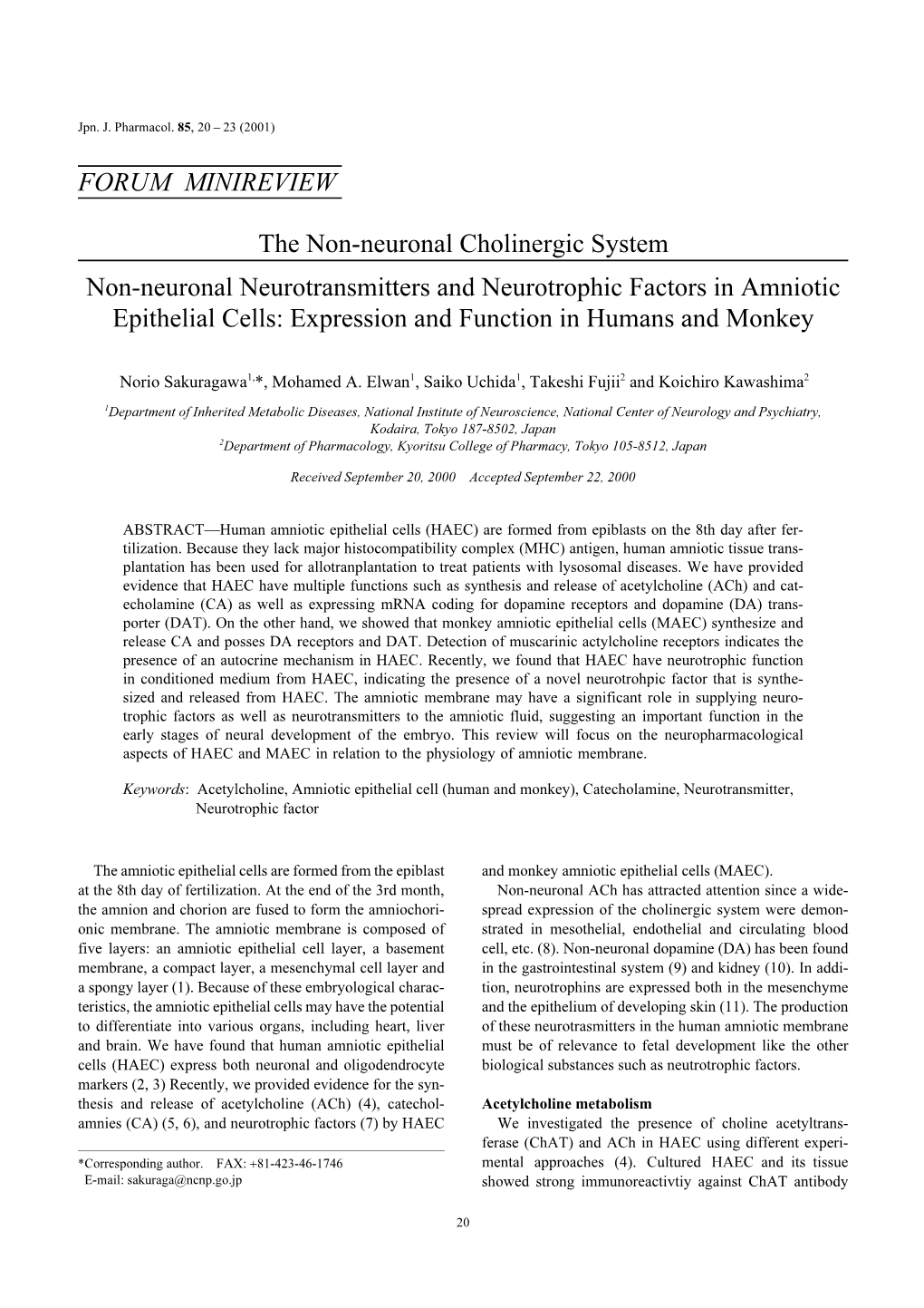 FORUM MINIREVIEW the Non-Neuronal Cholinergic System