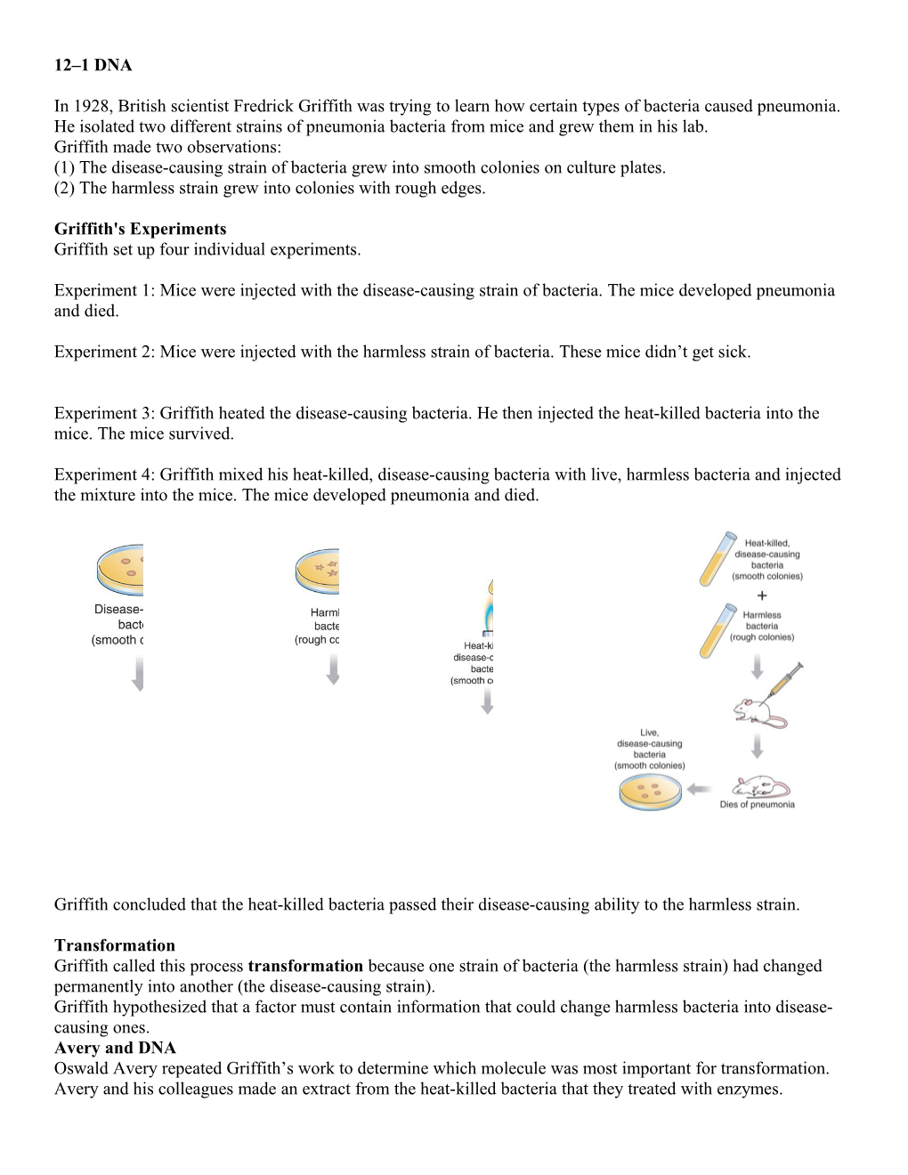 In 1928, British Scientist Fredrick Griffith Was Trying to Learn How Certain Types of Bacteria