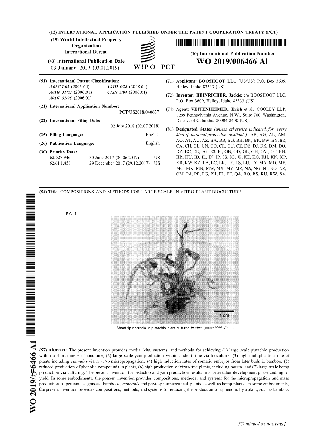 WO 2019/006466 Al 03 January 2019 (03.01.2019) W !P O PCT