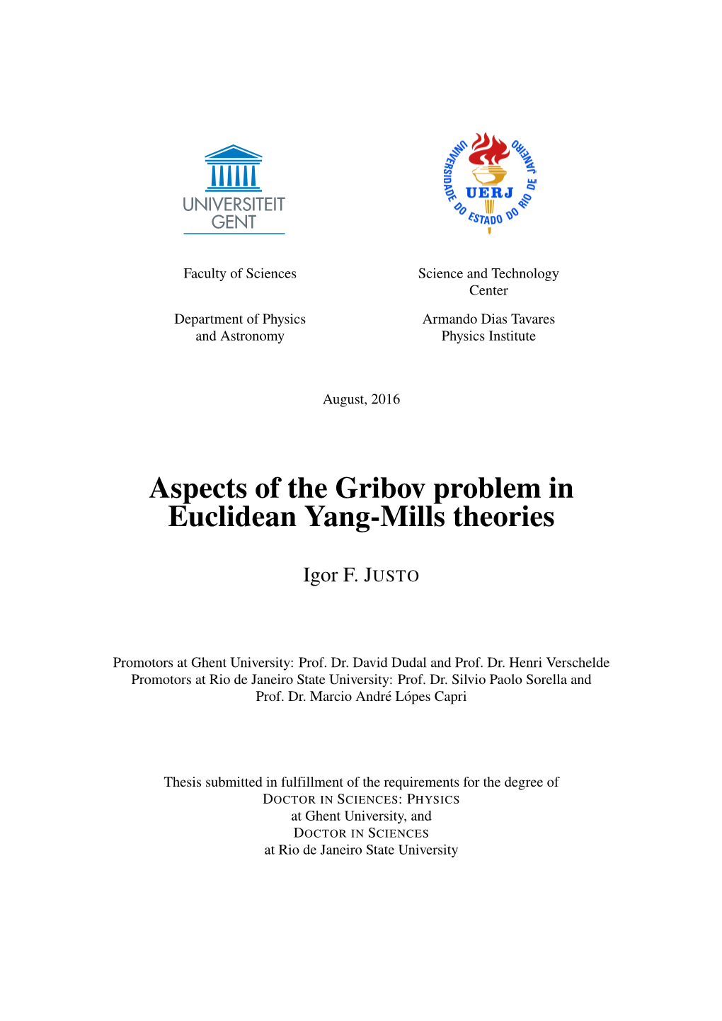 Thesis: Aspects of the Gribov Prolem in YM Theories