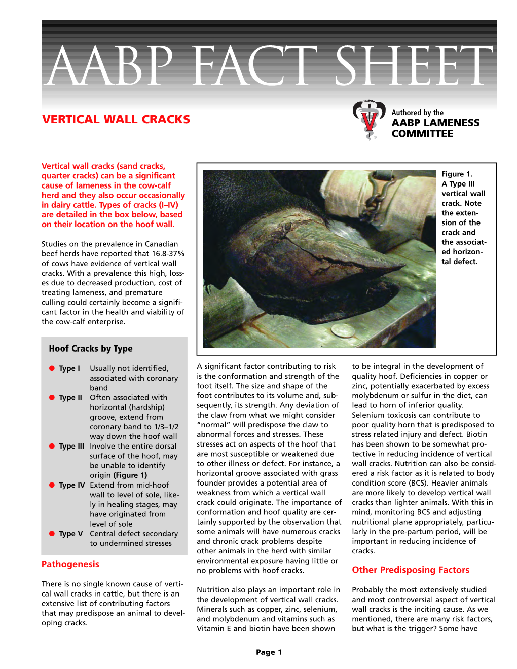 AABP Vertical Wall Crack.Pdf