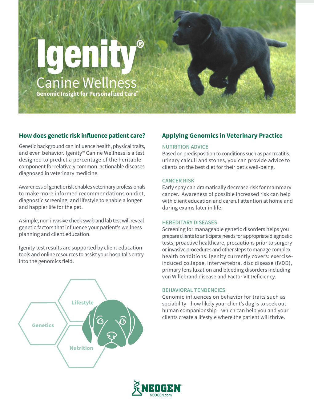 Canine Wellness Genomic Insight for Personalized Care™