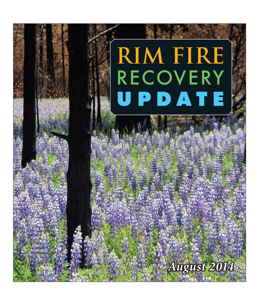RIM FIRE RECOVERY UPDATE Page 2