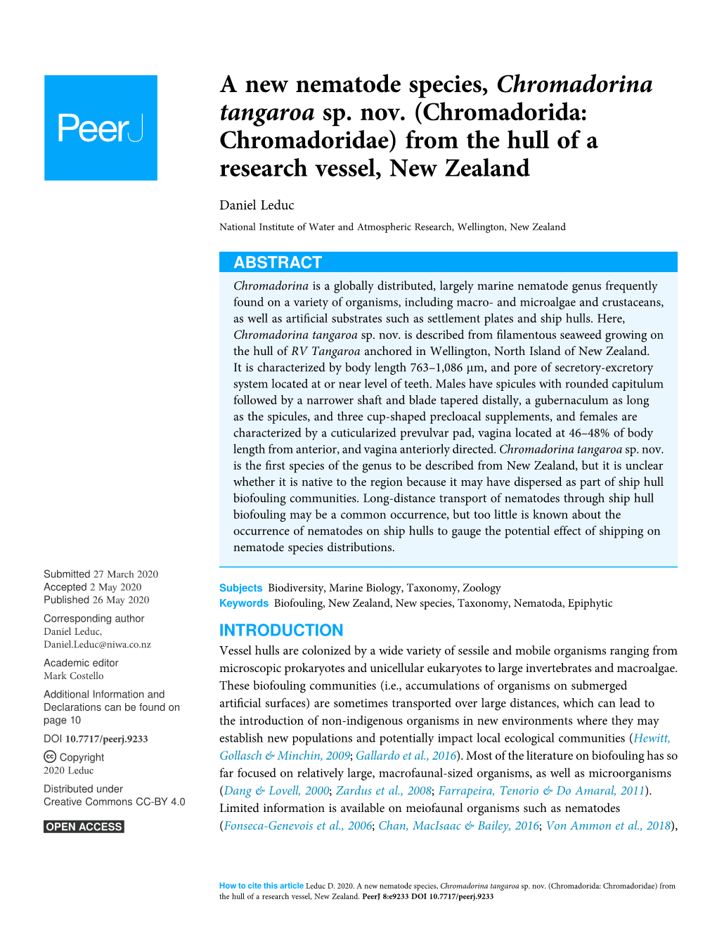 A New Nematode Species, Chromadorina Tangaroa Sp