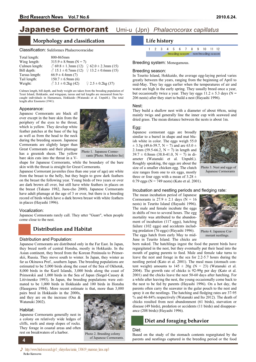 Japanese Cormorant Umi-U (Jpn) Phalacrocorax Capillatus Morphology and Classiﬁcation Life History