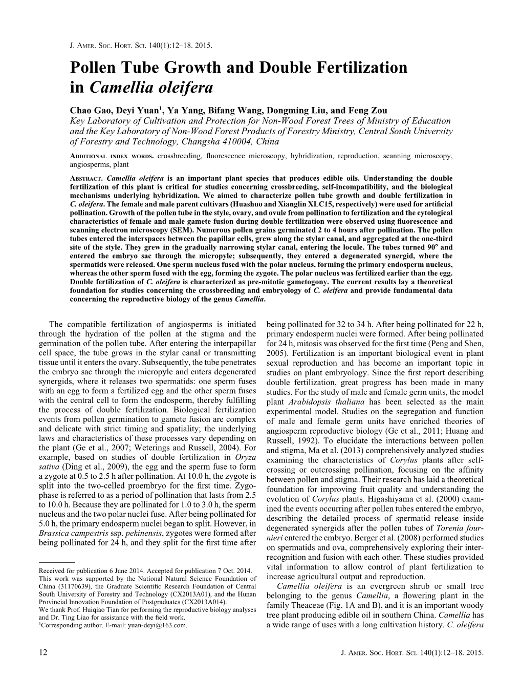 Pollen Tube Growth and Double Fertilization in Camellia Oleifera