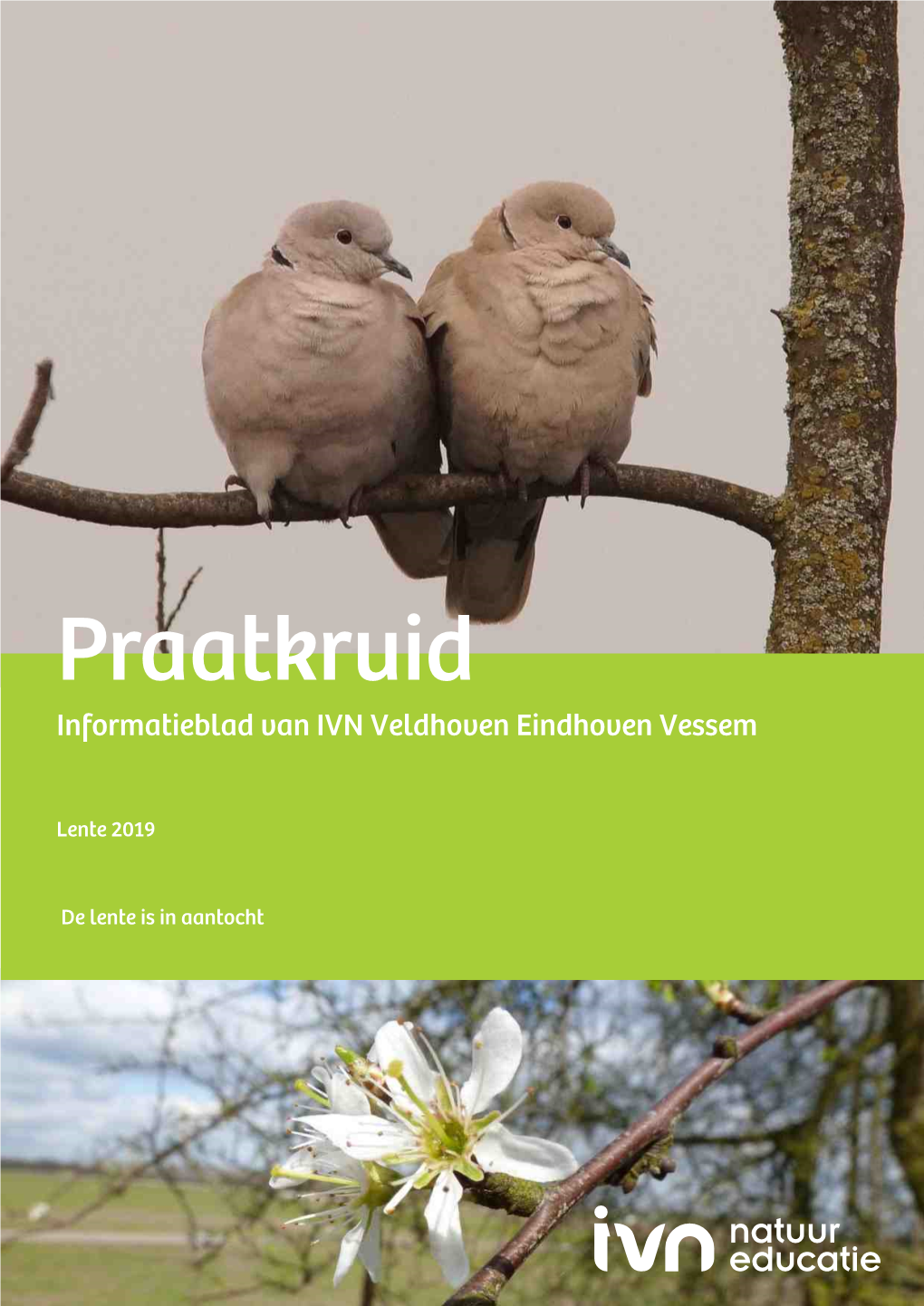 Praatkruid Informatieblad Van IVN Veldhoven Eindhoven Vessem