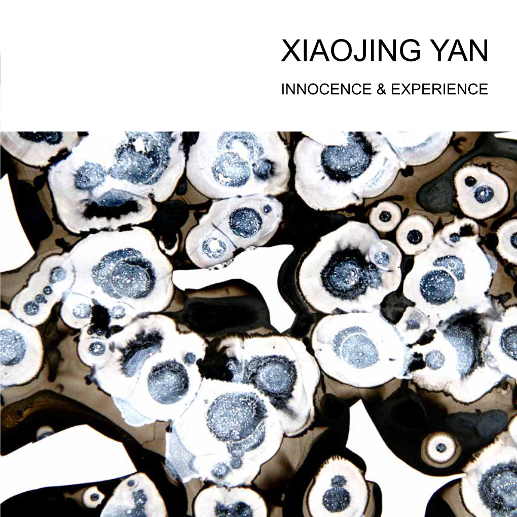 Xiaojing Yan Innocence & Experience